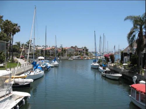 a group of boats are docked in a marina at Beautiful 2 Story Right by the Water, Ocean View in Long Beach