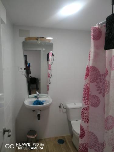 W łazience znajduje się umywalka, toaleta i lustro. w obiekcie Apartamento B-2 w Madrycie