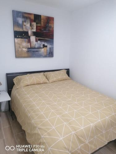 a bed in a bedroom with a painting on the wall at Apartamento B-2 in Madrid