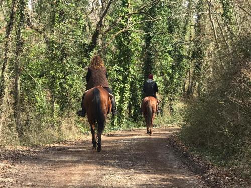 two people riding horses down a dirt road at B&B Podere Cottimellino - Montalcino - Val d'Orcia in Montalcino