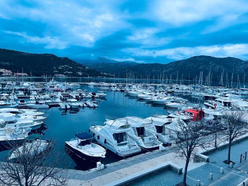 a bunch of boats docked in a harbor at Hotel Restaurant L'Europe in Saint-Florent