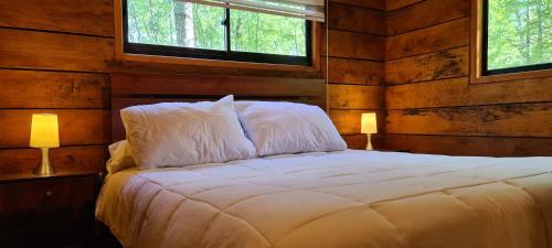 a bedroom with a bed with two lamps and two windows at Eco lodge mediterraneas in Caburgua