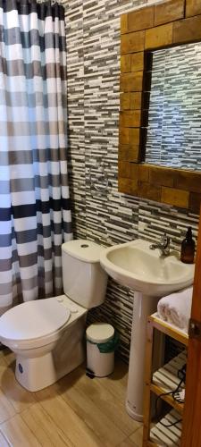 a bathroom with a toilet and a sink at Eco lodge mediterraneas in Caburgua