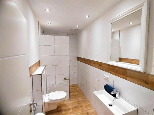 La salle de bains est pourvue de toilettes, d'un lavabo et d'un miroir. dans l'établissement Landhaus am Schindelberglift, à Oberstaufen