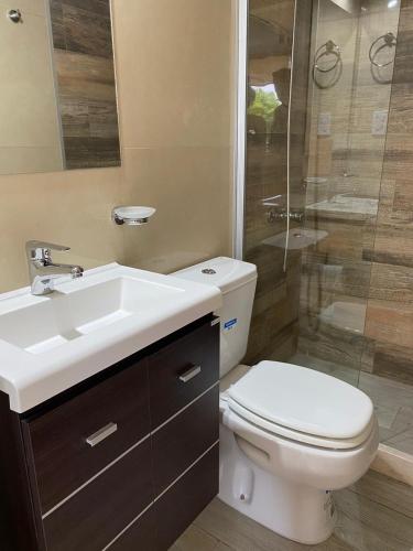 a bathroom with a toilet and a sink and a shower at Complejo 42 in Mar Azul