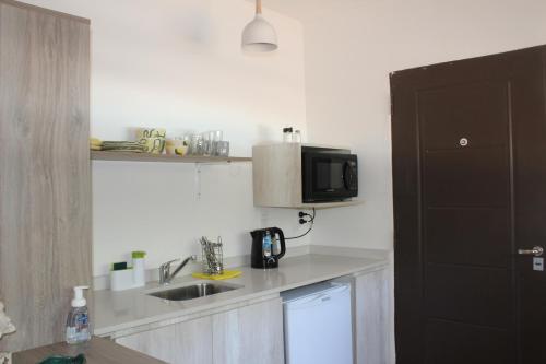 a small kitchen with a sink and a microwave at ESPACIO RAKU in Ciudad Lujan de Cuyo