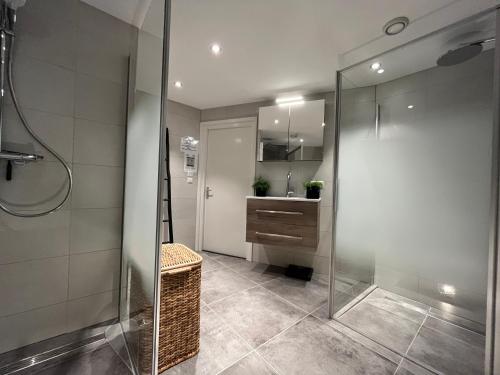 een badkamer met een douche en een wastafel bij Guesthouse BedNboot met terras aan het water in Rijpwetering