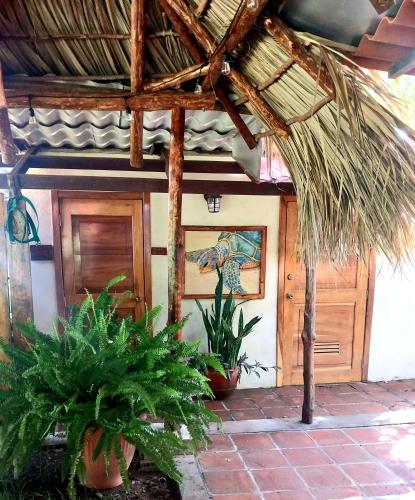 a house with some plants in front of it at Cabanas Rusticas in Las Peñitas