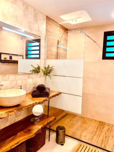 La salle de bains est pourvue d'un lavabo et d'une douche en verre. dans l'établissement Cocon De l'Est II, à Saint-Benoît