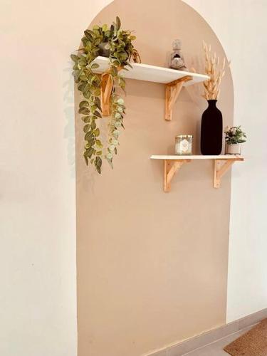 a shelf with plants and a vase on a wall at Cocon De l'Est II in Saint-Benoît