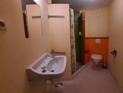 y baño con lavabo y aseo. en Vakantiehuis met hottub De Opkikker, en Giethoorn