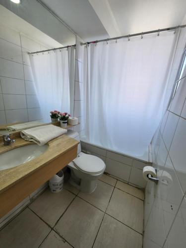 a bathroom with a toilet and a sink and a shower at Providencia Cercano a Clínicas y Hospitales in Santiago