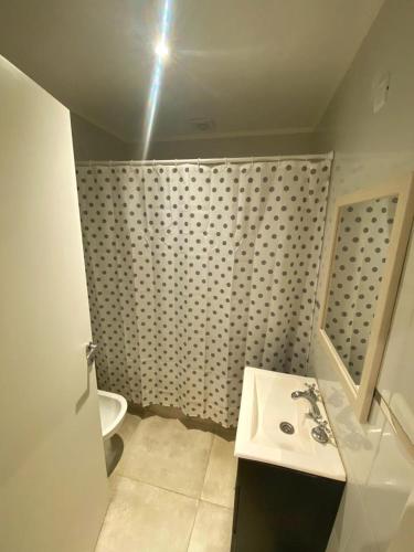 y baño con lavabo y aseo. en FINCA NOVA Apartment 3 en Balcarce