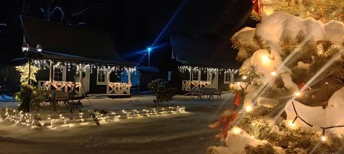 uma casa coberta de luzes de Natal na neve em Domek pod Karpaczem em Milków