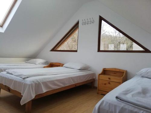 een slaapkamer op zolder met 2 bedden en 2 ramen bij Casa Radu lui Anghel in Bărbuleţu