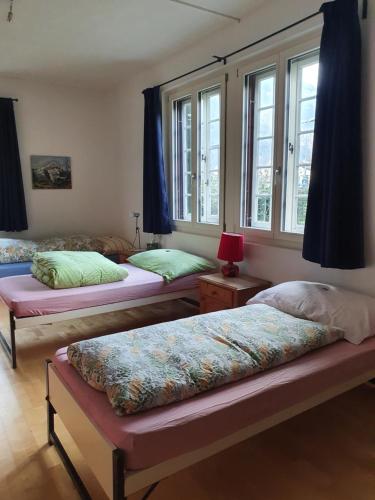 インターラーケンにあるZentral gelegene Wohnung mit grossem Gartenの窓付きの部屋(ベッド3台付)