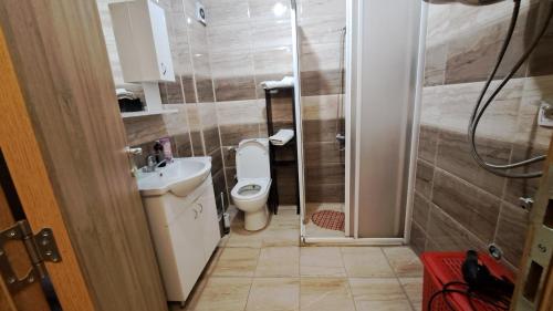 y baño con aseo, lavabo y ducha. en Vaikiki Apartman LM, en Novi Pazar