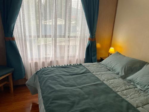 a bedroom with a bed and a window with blue curtains at Apartamentos Patagonia Dove in Coihaique
