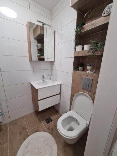 a small bathroom with a toilet and a sink at FRIENDLY HOME in Tuzla