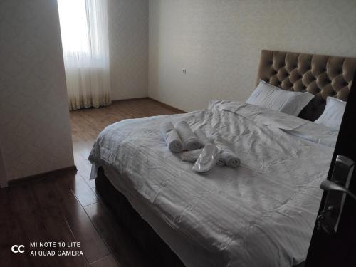 Galería fotográfica de Rustavi guest house en Rustavi