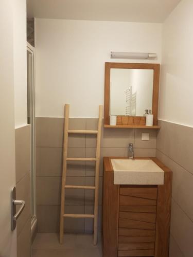 uma casa de banho com um lavatório e um espelho em CASTEL ISARD - Le Refuge em Porté-Puymorens