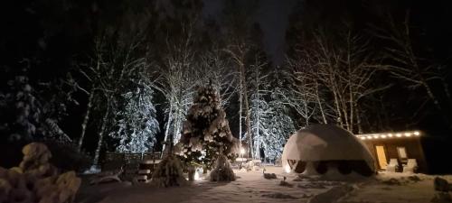 Το Žuvininkų pirtelė τον χειμώνα