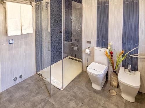 a bathroom with a shower and a toilet and a sink at Hostal Real Aranjuez in Aranjuez