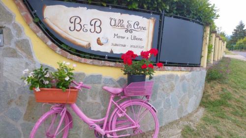 Катание на велосипеде по территории B&B Villa S Anna Hospitality Solutions или окрестностям