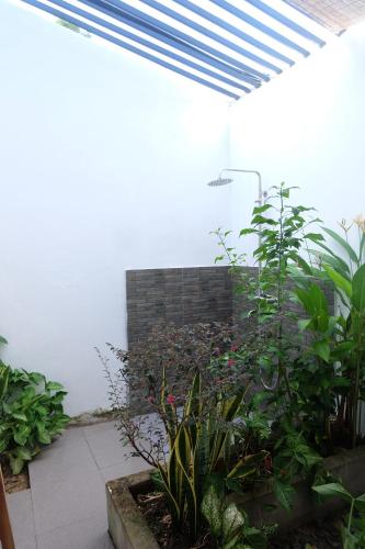 Zahrada ubytování Lana Land Homestay Phu Quoc
