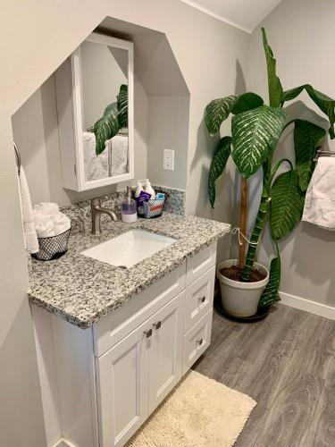 a bathroom with a sink and a potted plant at A Cozy Place to Land in Salem