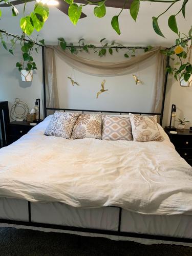 a bedroom with a bed with birds on the wall at A Cozy Place to Land in Salem