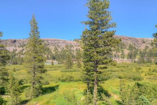KW - Sun Meadows 3-103 – Photos 3