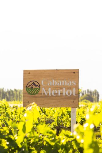 Cabañas Merlot - Syrah – Photos 2
