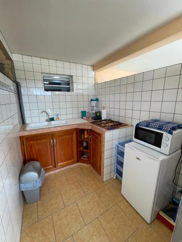 a small kitchen with a sink and a refrigerator at Studio « Ti Thon » avec vu magnifique sur la Montagne du Vauclin in Le Vauclin