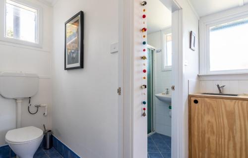 een badkamer met een toilet en een wastafel bij The Piccolo Shack in Gracetown