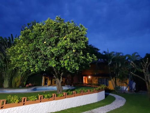 a tree in front of a house at night at Residencia paraíso in Temixco