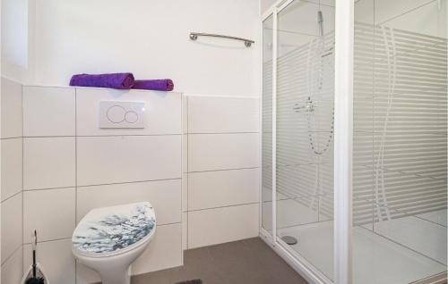 a white bathroom with a shower and a toilet at Lovely Apartment In Dalaas Wald With Wifi in Ausserwald