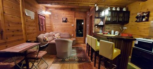 a living room with a couch and chairs in a cabin at Chalet Four Seasons in Zlatibor