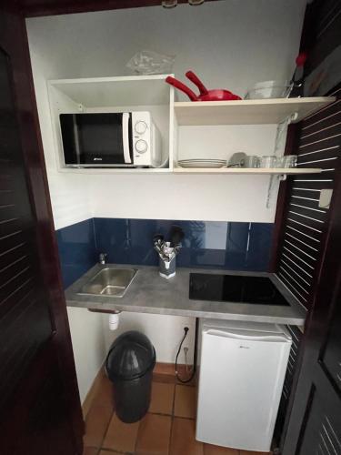 una pequeña cocina con fregadero y microondas en CLANES LOCATION Acerola, en La Trinité