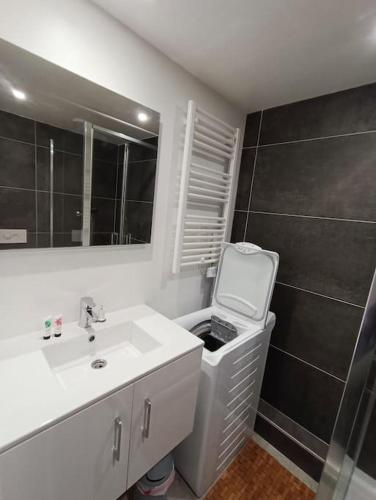 une salle de bain avec un lavabo, des toilettes et un miroir dans l'établissement Studio pied des pistes Arcs 2000 - Résidence le Varet, à Bourg-Saint-Maurice