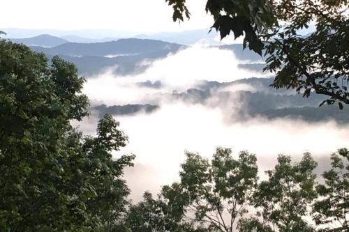 a view of a foggy valley with trees in the foreground at Mountain Ridge View 172 in Dahlonega