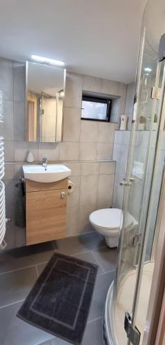 a bathroom with a sink and a toilet at Haus Tisch in Schruns-Tschagguns