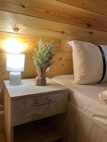 a bedroom with a bed with a nightstand with a lamp at Liniștea Muntilor Cartioasra in Cîrţişoara