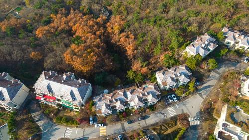 an overhead view of a group of houses and trees at Museum Stay in Yongin