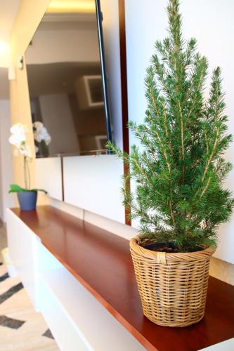 a christmas tree in a basket on a counter at ZAPBED House - Luxury Holiday Homes in Yas Island in Abu Dhabi