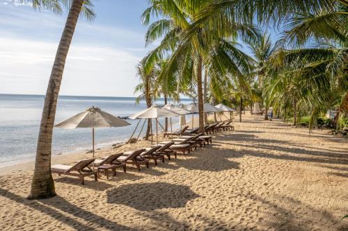 a row of chairs and umbrellas on a beach at Sea Sense Resort in Phu Quoc