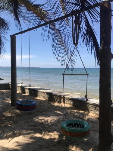 two swings hanging from a palm tree on the beach at Nhat Quang Bungalow in Mui Ne