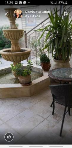 uma imagem de uma fonte com vasos de plantas num pátio em Residence Tozeur Almadina em Tozeur