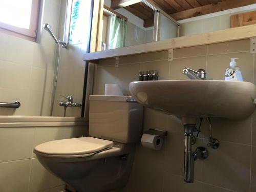 a bathroom with a toilet and a sink at Casauma Gartmann in Vattiz