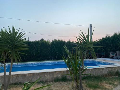 una piscina con dos palmeras al lado en Encantador y acogedor alojamiento con piscina, en Monserrat